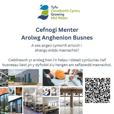 Supporting Business Growth survey poster CYMRAEG